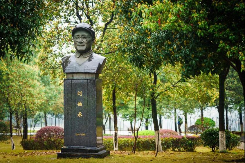 特殊试卷！或许，这10道题就是全重庆