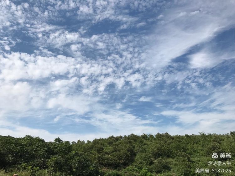 夏日登山汗如泉