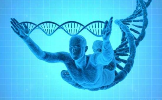 同时拥有dna和rna人体内同时有dna和rna吗