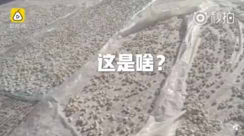 死刑！25岁法院女书记员坐出租车遇害案一审宣判