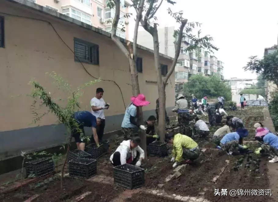 锦州实验学校三年小同学的一封信！凌河区小街小巷大变样