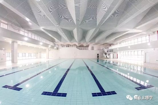 浦东最美的7所小学大PK！颜值爆表