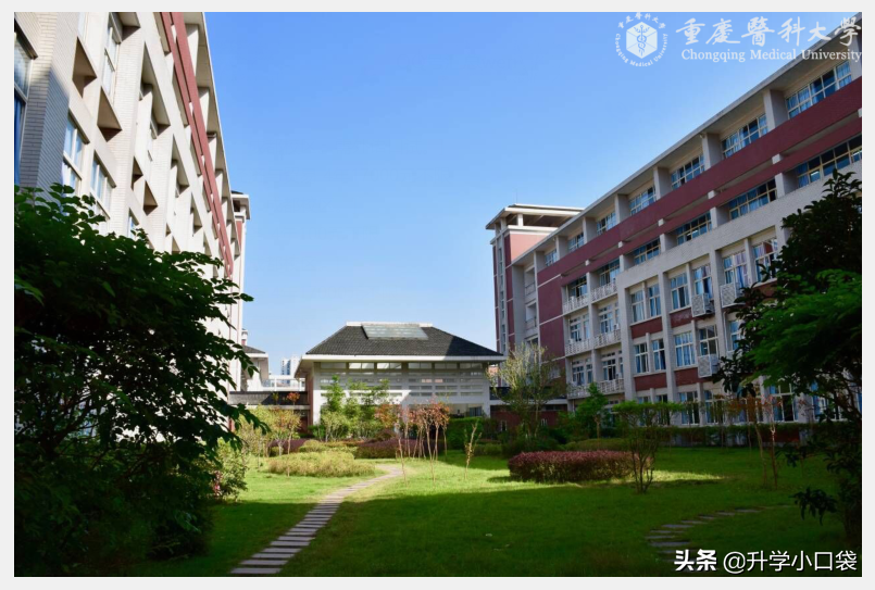 高考636分，被重庆医科大学的“全科医生”录取，是否浪费分数？