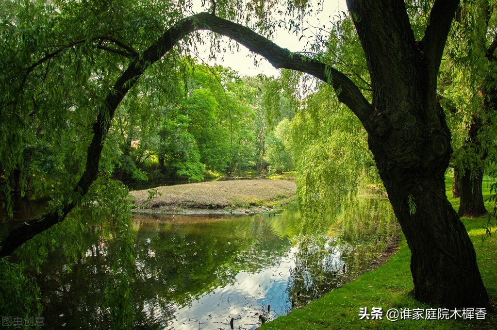 诗词里的夏天，仿佛流淌千年的清泉，沁人心脾、清凉清新