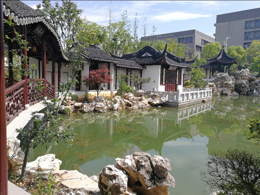 这里不仅有大树、高楼，更有大师——带你参观南京大学仙林校区