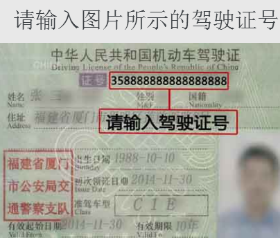 驾驶证扣分记录查询,个人驾驶证扣分查询