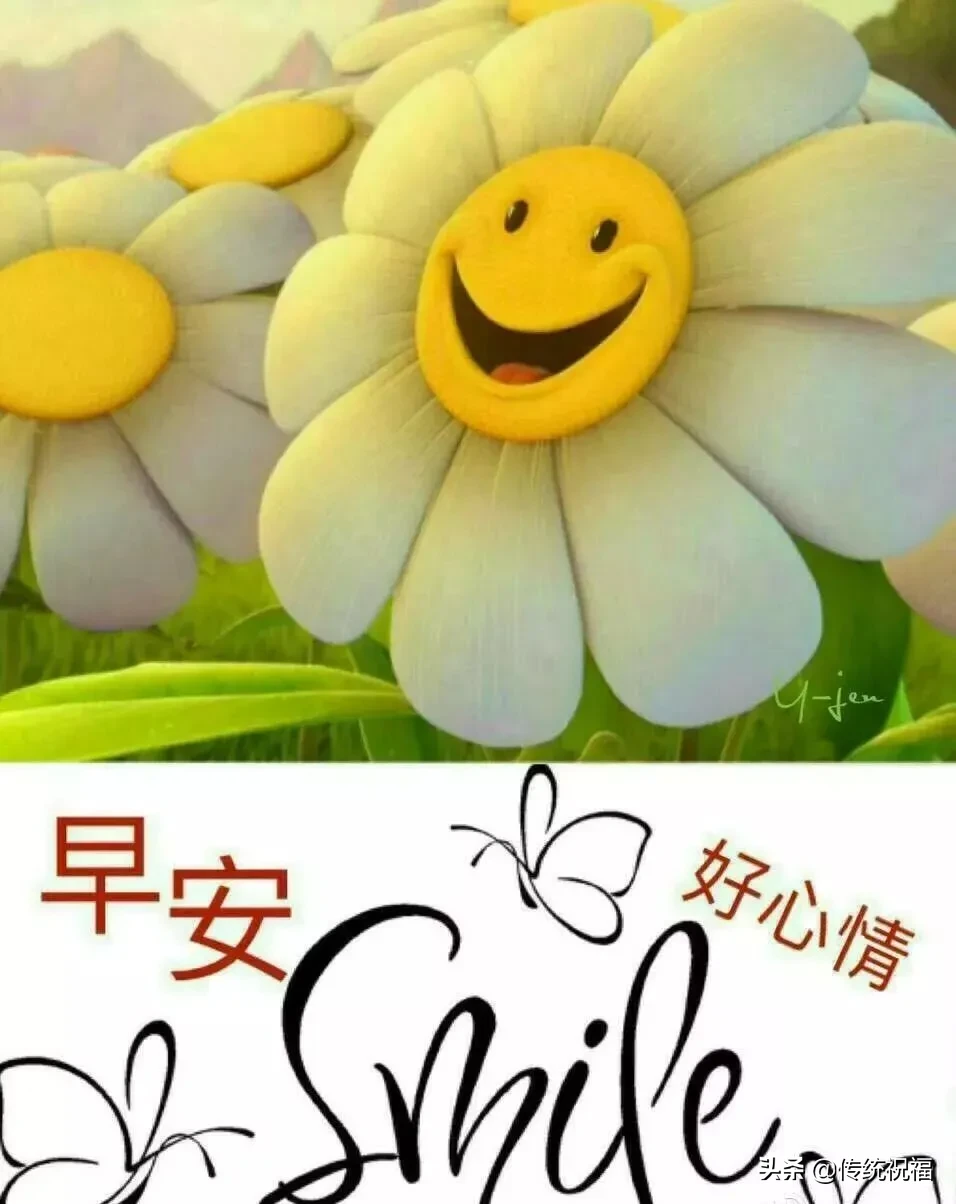 采摘一缕阳光，照亮你的每一天；采摘一缕芳香，让香气伴你入眠