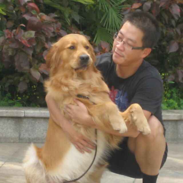 魏庆原创 | 动销的细节