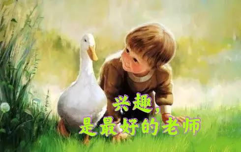 英文原版书阅读，需要查字典、用翻译笔吗？精读、泛读比哪个赢？