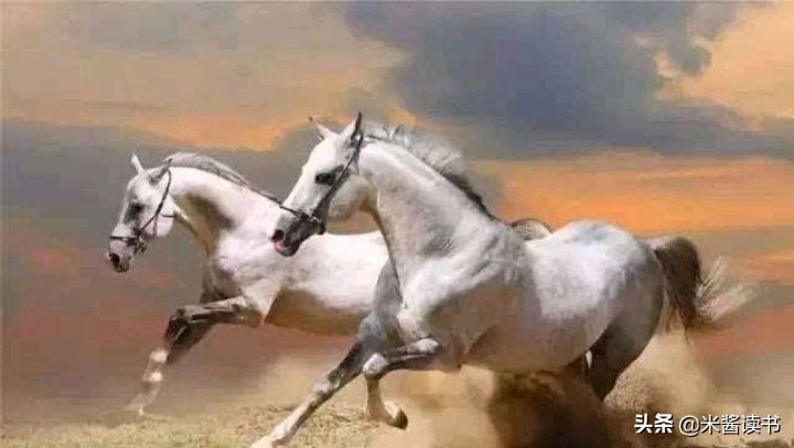 19年了，以《赤兔之死》获高考作文满分的江苏男孩，现状如何