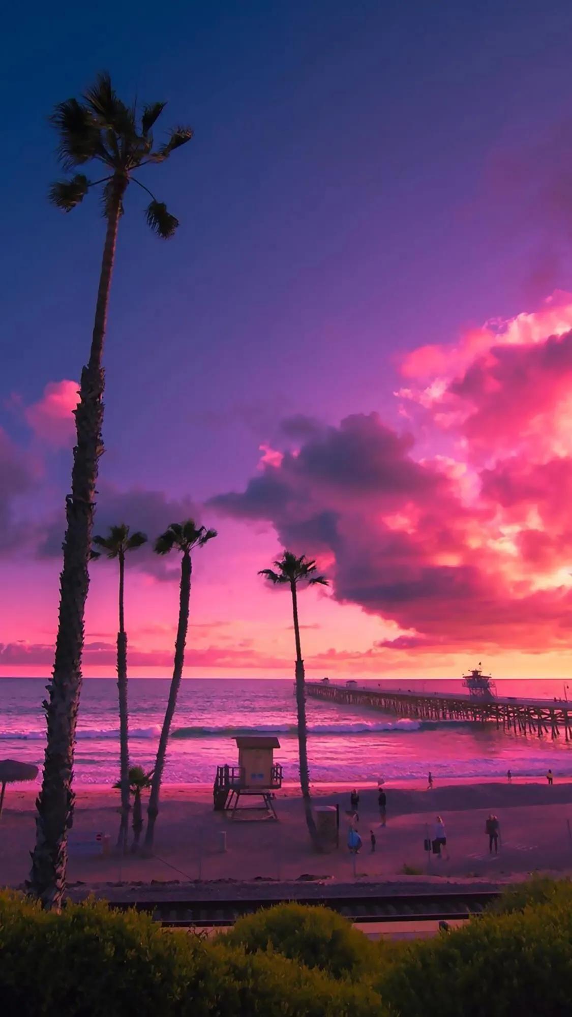 高清无水印海边夕阳椰树壁纸(一)