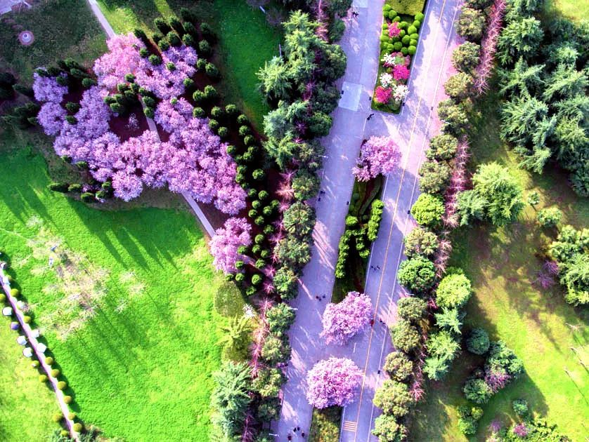 西安这座学费高达3万的大学，凭什么比985、211还受人欢迎？