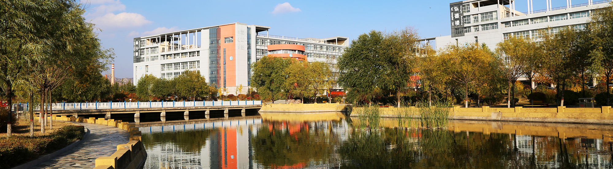 内蒙古医科大学2020年招生计划，2019年录取分数