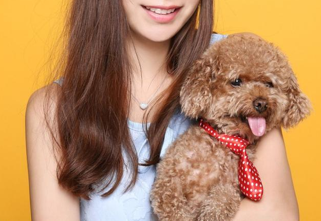 挚爱犬离世，心灵撕裂痛彻心扉