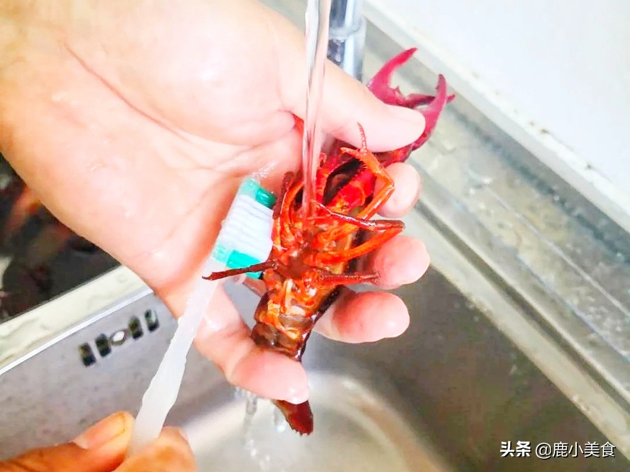 小青龙龙虾杀洗过程图片