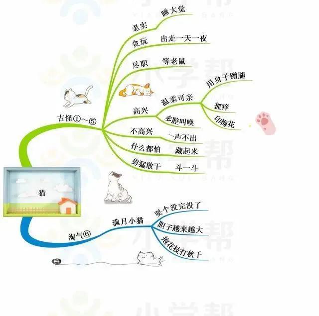 可爱小猫外形描写：圆眼、尖耳，绒毛柔软如云。