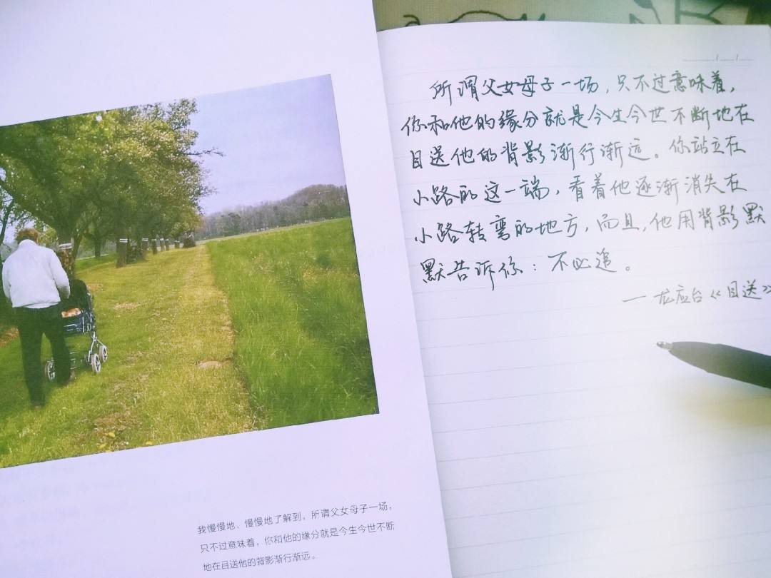 写给女儿的情书：你就是＃我眼中的春天＃
