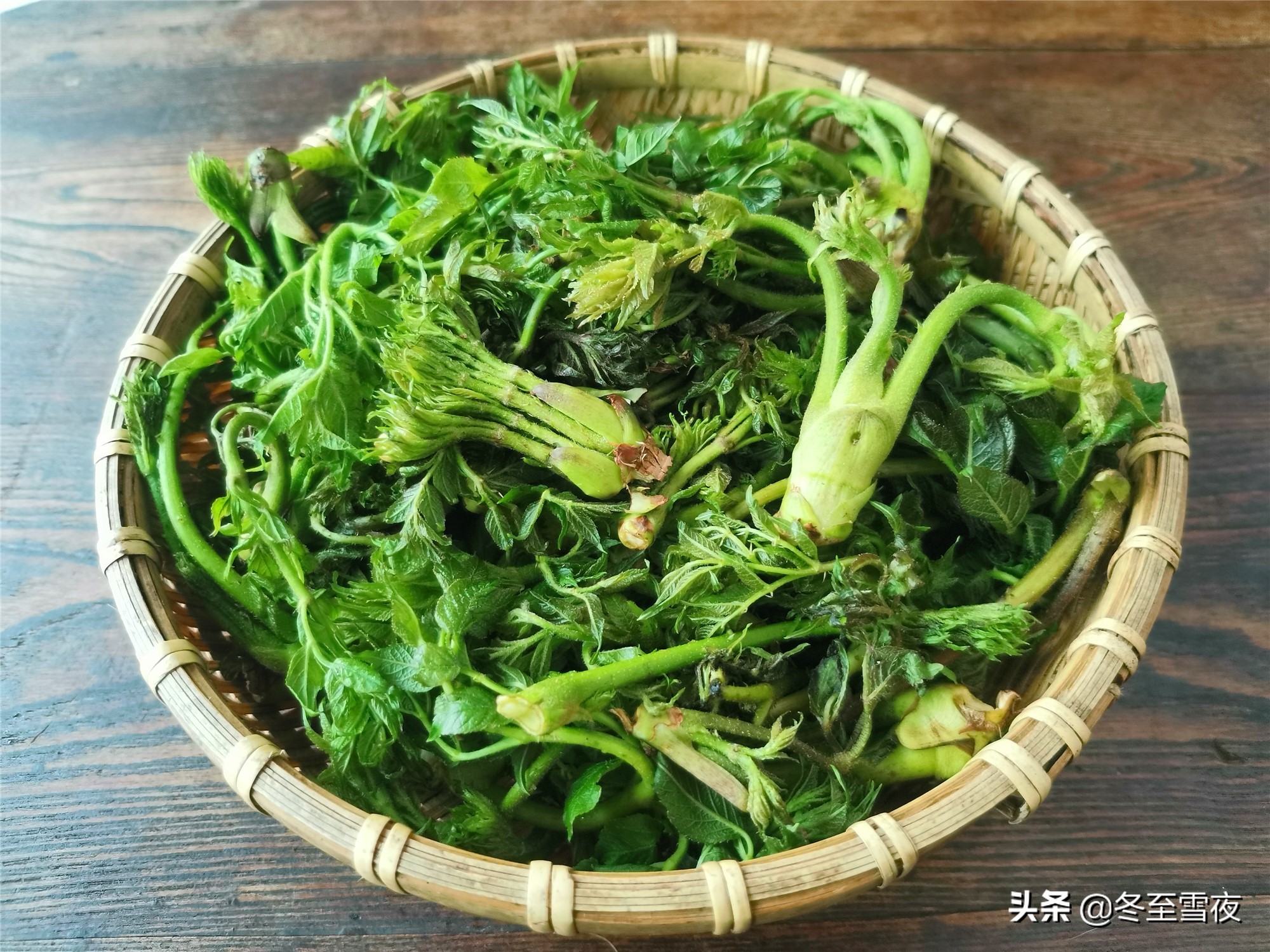 北方野菜圖片名稱大全(常吃的16種山野菜大圖鑑)-思維風暴網