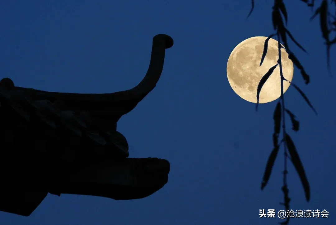 五月，你好！51首好诗送给流年，愿你风雨珍重，不负青春