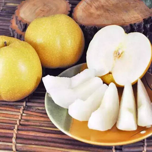 简单介绍一下丰水梨