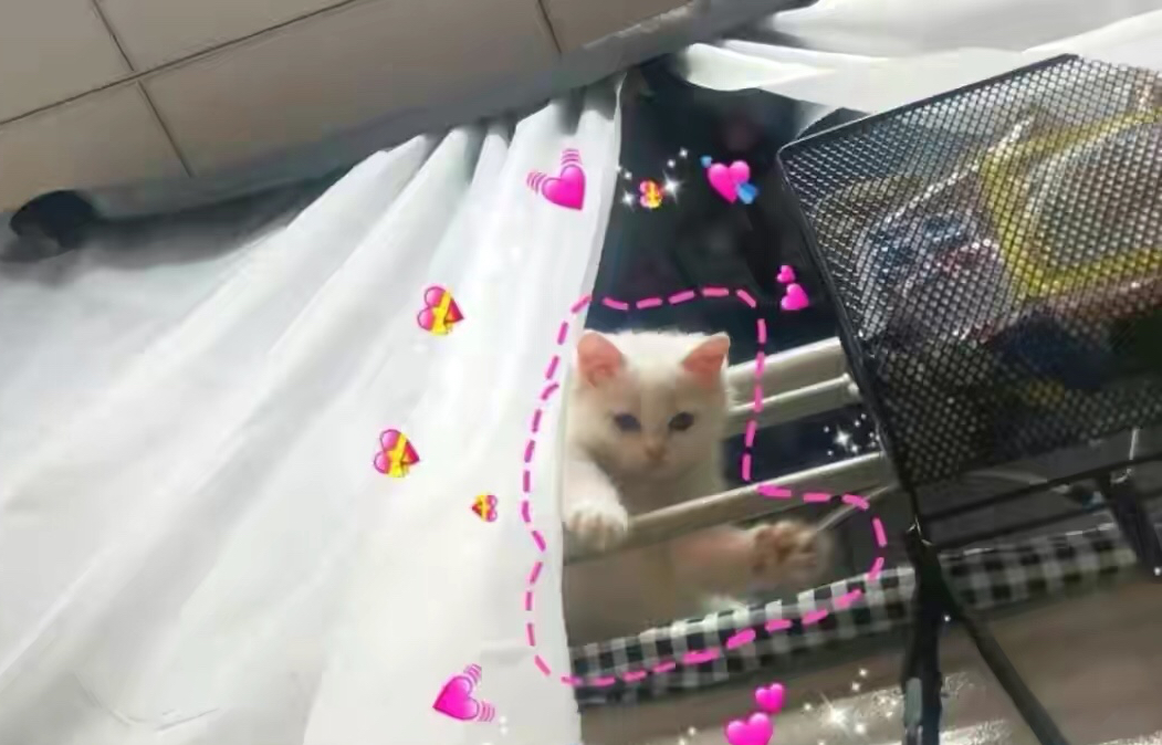 盘点大学女生宿舍内的各种“违禁品”，种类繁多，男生：真会玩