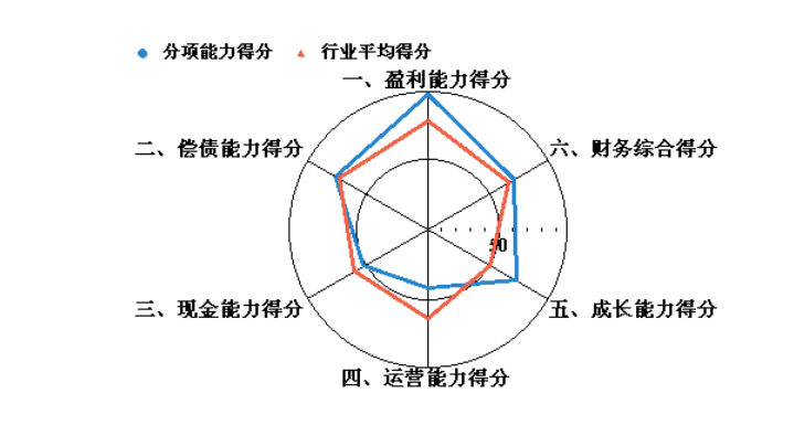 企业年度财务分析报告（案例分析）超详细