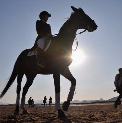 的抗压性格,而这一切都可以在学习骑马的过程当中一点一滴累积而成