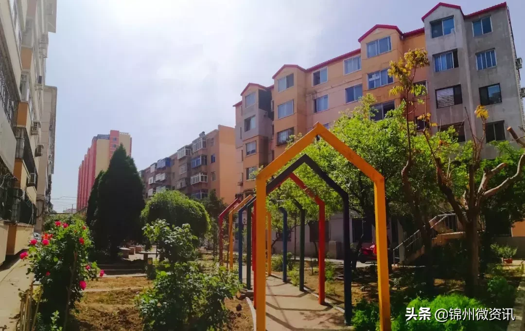 锦州实验学校三年小同学的一封信！凌河区小街小巷大变样