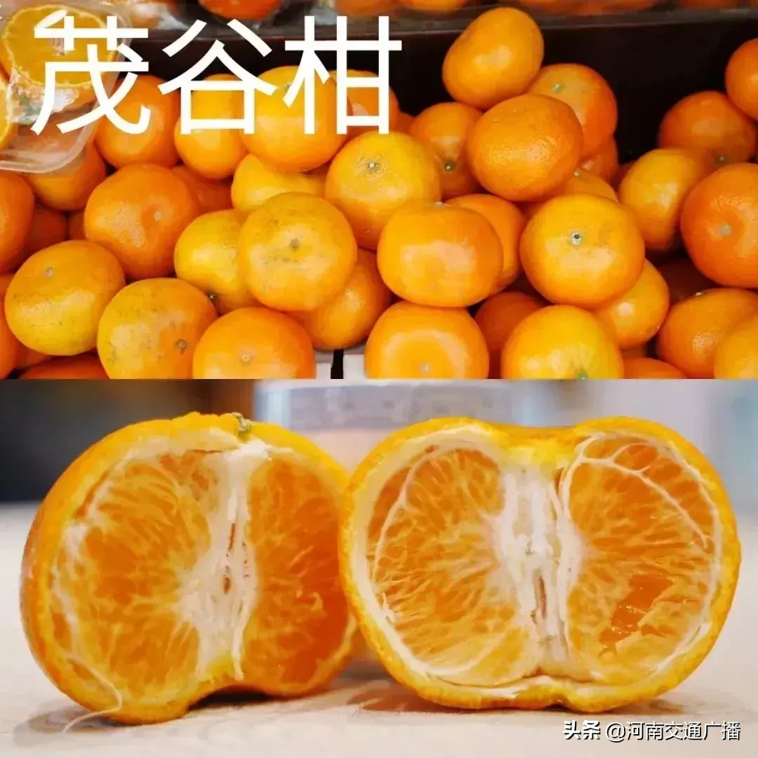 耙耙柑皮泡水喝的功效(耙耙柑的皮有什么用)