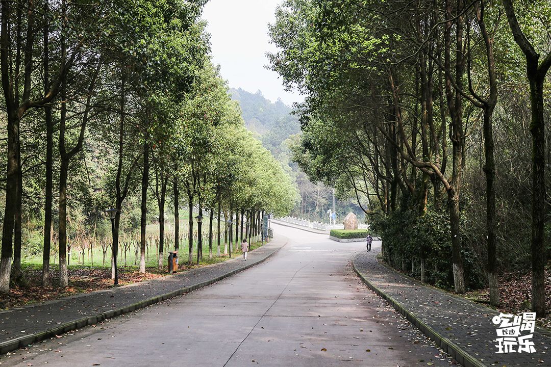 下一站，长沙大学