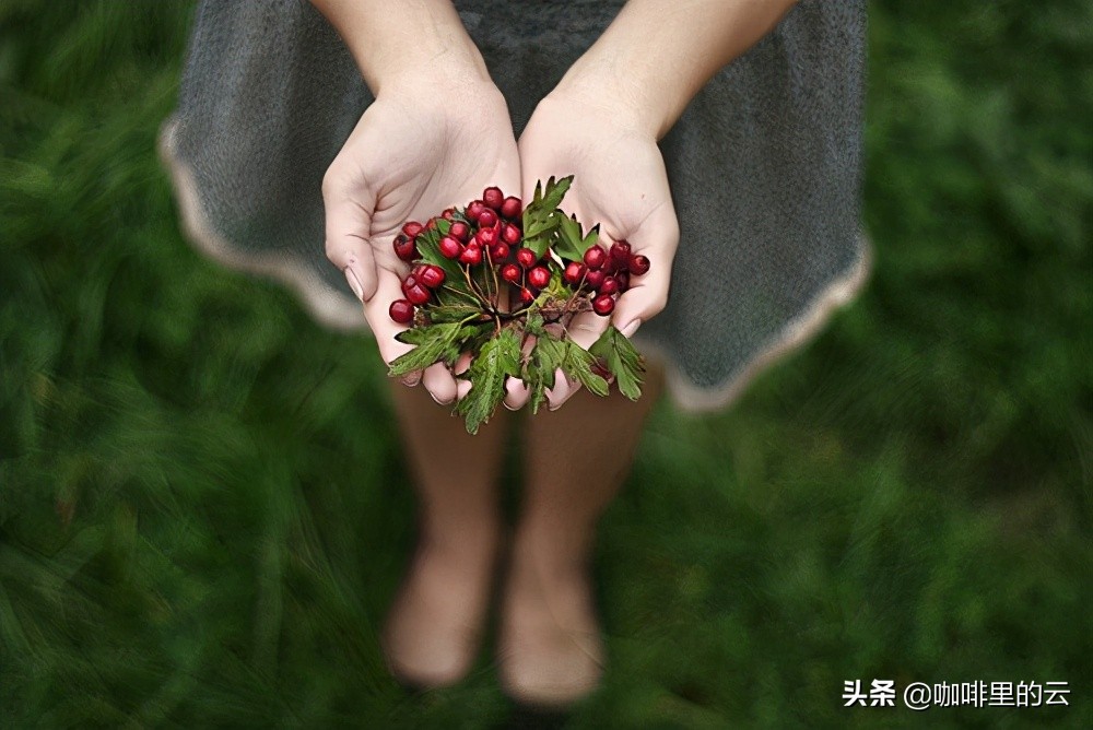 七月流火，触之无痕，掩不住的繁华，遮不住的锦绣