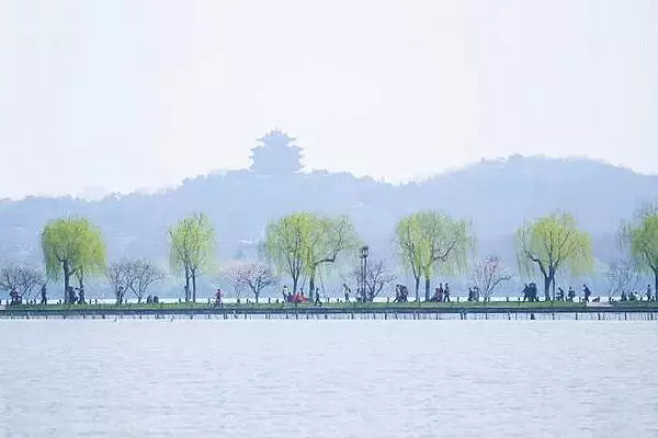 植树节丨十年树木，栽种盎然春意；百年树人，涵养蓬勃精神