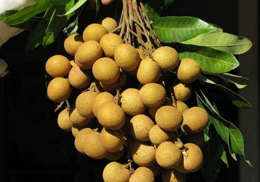 不止抢红包、集五福，保留至今的拜年方式，你见过哪些？