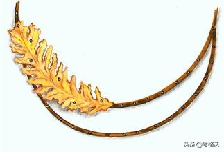 设计类专业解读