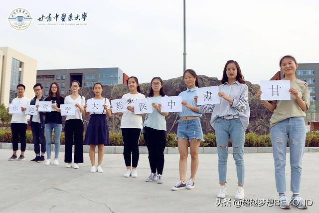 甘肃中医药大学2020年各省本科批次录取分数统计（含位次）