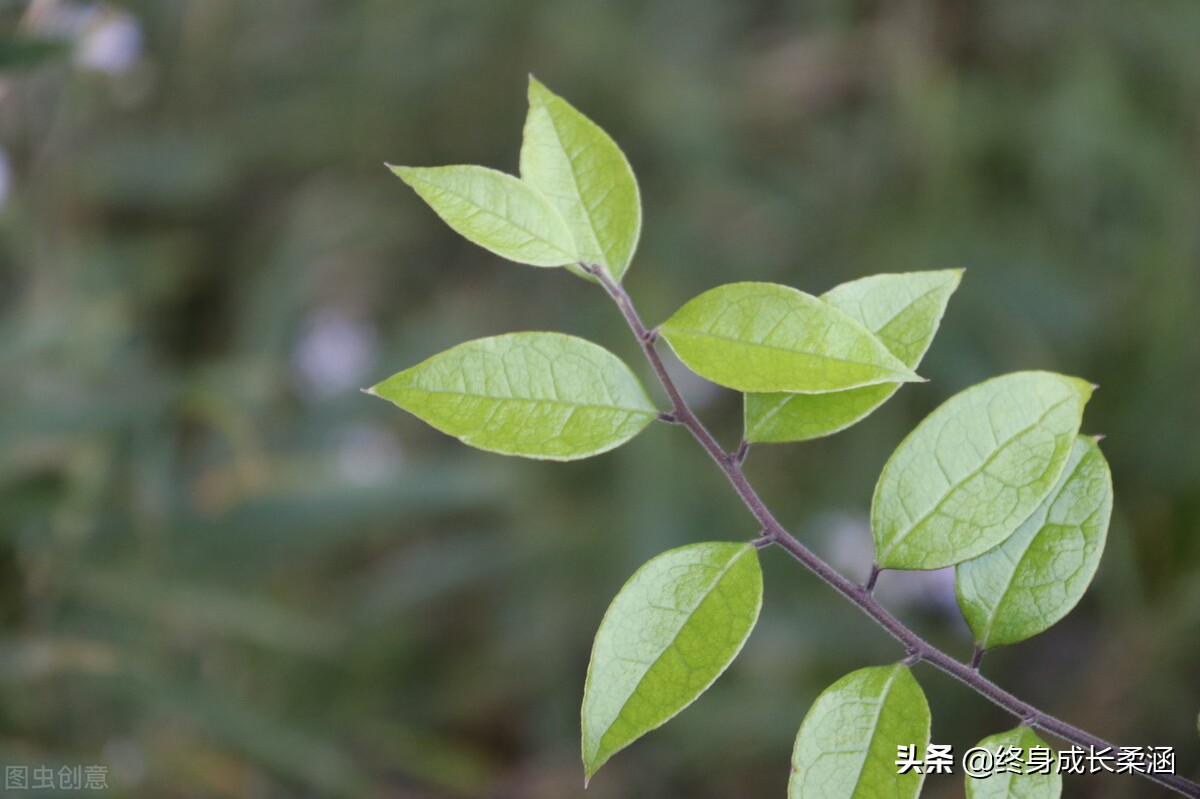 《论语》道德修养之“人际交往”篇—益者三友，损者三友