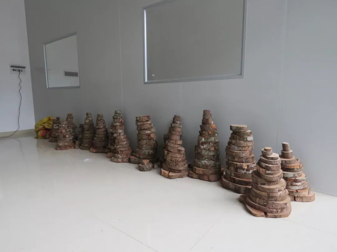 论文推荐 || 时人不识凌云木，密度调控始道高