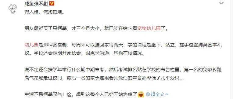 重庆购物狂家居装修