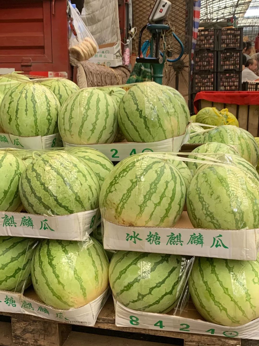 满街的8424西瓜真假难辨，教你做一名合格的吃瓜群众