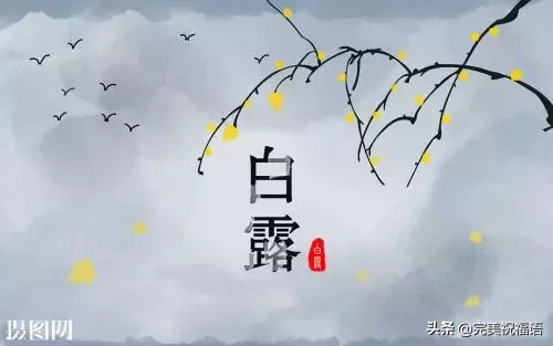 明日白露，祝你快乐