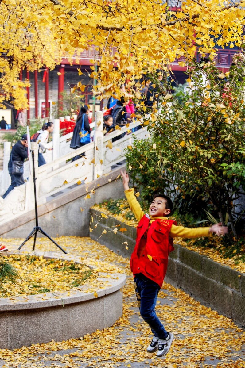 一见南京误终身！忽然，想去金陵了