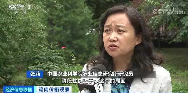 最低一斤不到7块钱!猪鸡牛羊肉价齐齐大跌!还会再降吗?