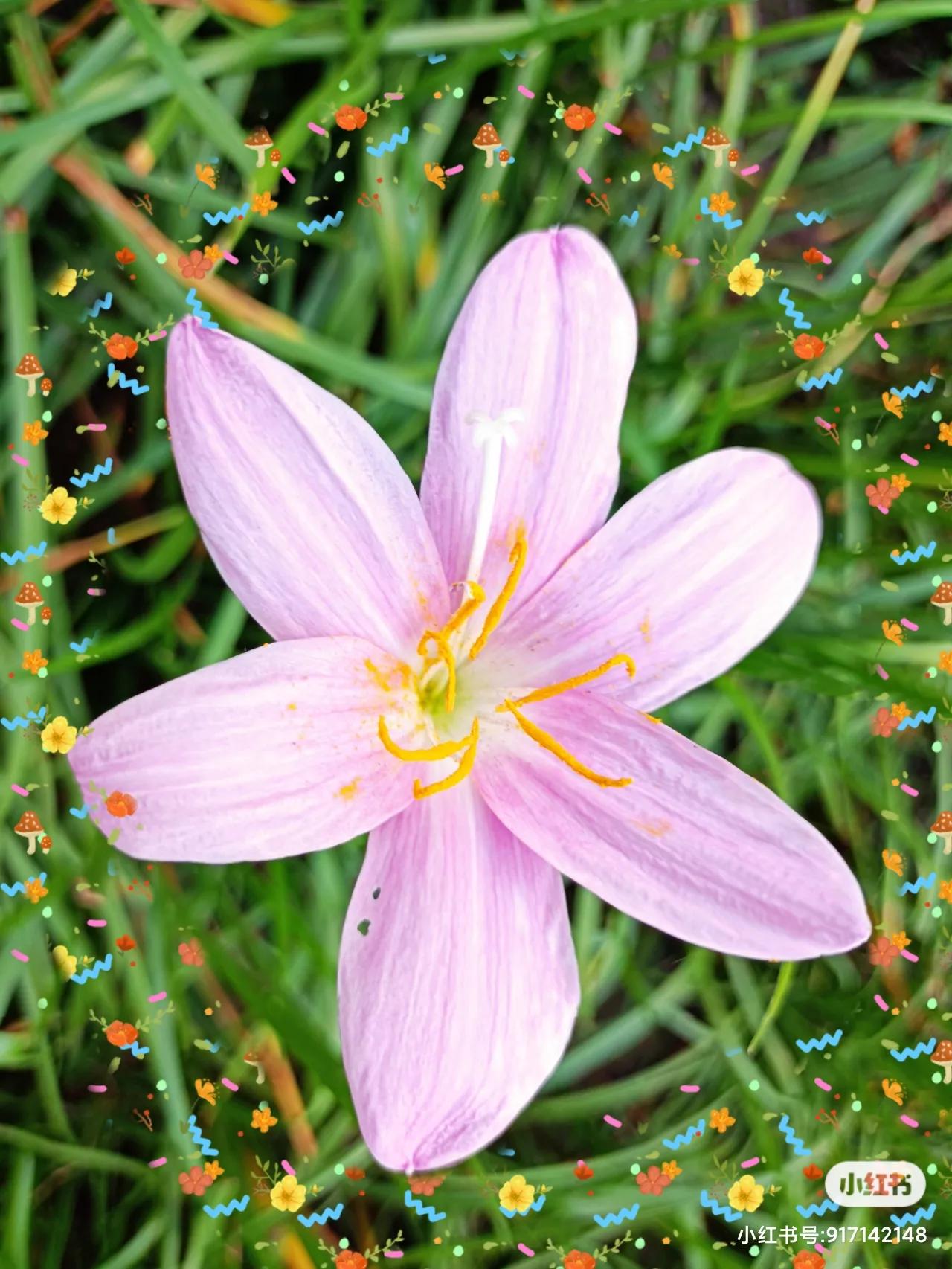 写作技巧：作为自媒体人，你应该知道写出爆款文章的3个方法