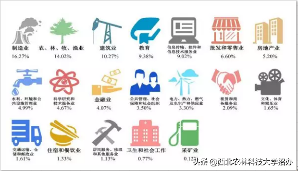 25个专业就业率100%，世界500强都来