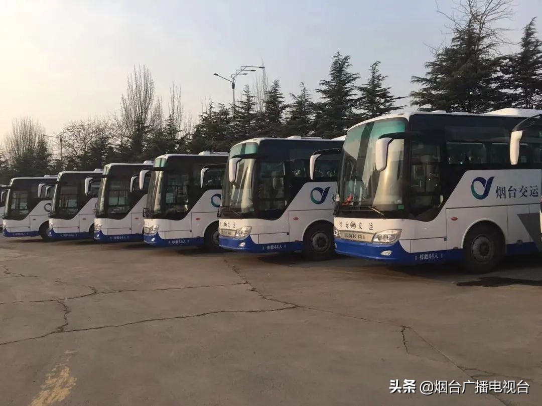 客运班线恢复、班次增加，你想知道的都在这里