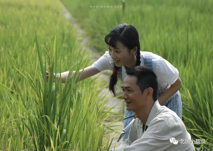 夫人坐轮椅泪别袁隆平:那个宠了她一辈子的人,永远地走了!