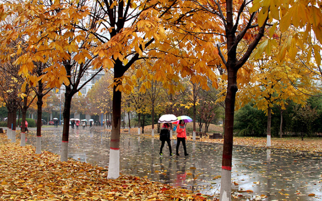 官宣！中国农业科学院大学落户河北保定，省内考生：幸福太突然