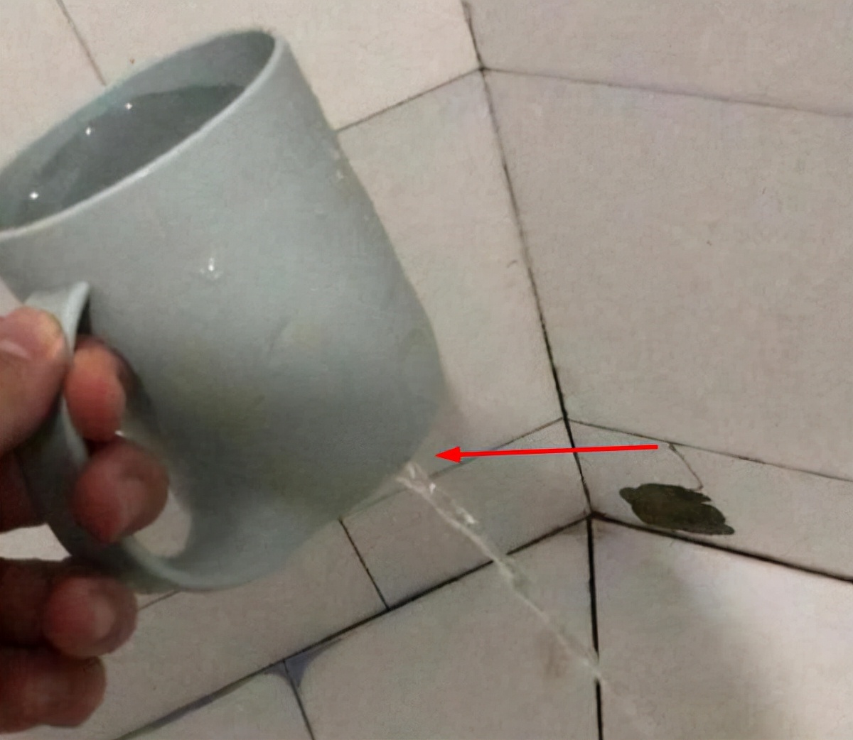 应届毕业生寝室现状，宿管阿姨看不下去了，你们也太能“凑合”了