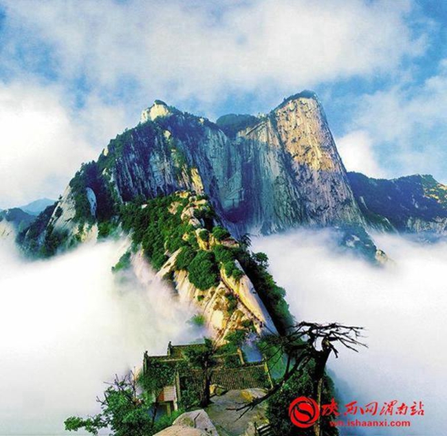 4月第二周 新闻中的渭南事（组图）