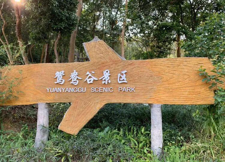 深圳十大免费少人知可以观海的公园